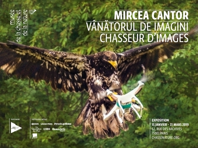 Musée de la chasse et de la nature – carte blanche à Mircea Cantor